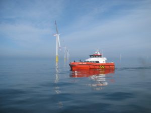 Image of Njord Curlew